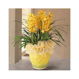 禮物分類與禮品花卉銷售指南