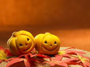 元祖雪餅超值優(yōu)惠方案 GoMaJi夠麻吉聯(lián)手禮品花卉，打造驚喜送禮體驗(yàn)