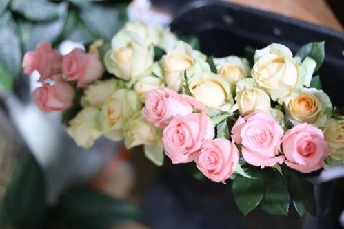 世園聚焦 第二季度消費新趨勢，高端花束、綠植與家庭園藝熱度不減，禮品花卉銷售表現亮眼