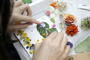 四合苑 珠寶藝術(shù)與生活美學(xué)的創(chuàng)意殿堂